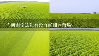 广西南宁这边有没有蚯蚓养殖场？