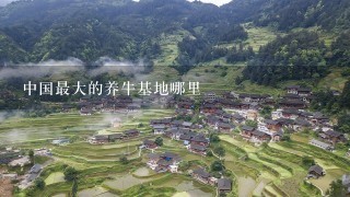 中国最大的养牛基地哪里