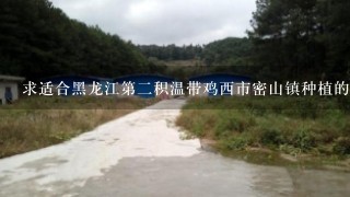 求适合黑龙江第二积温带鸡西市密山镇种植的水稻品种。 求抗低温，抗稻瘟病，抗倒伏，千粒重高优质的水稻品