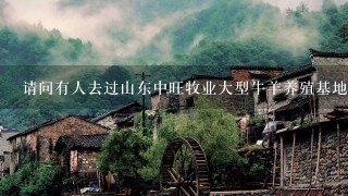 请问有人去过山东中旺牧业大型牛羊养殖基地买牛吗？