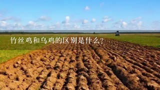 竹丝鸡和乌鸡的区别是什么？