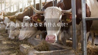 鹅败血支原体感染有什么症状？