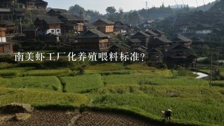 南美虾工厂化养殖喂料标准？