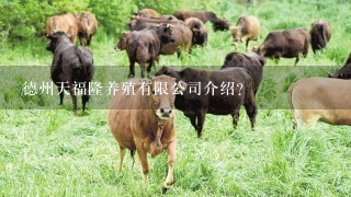 德州天福隆养殖有限公司介绍？