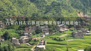 内蒙古科左后旗周边哪里有驴养殖基地？