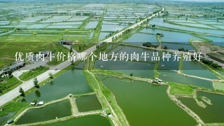 优质肉牛价格哪个地方的肉牛品种养殖好