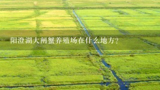 阳澄湖大闸蟹养殖场在什么地方?