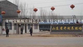 支付宝蚂蚁庄园怎么玩 支付宝蚂蚁庄园养小鸡有什么用