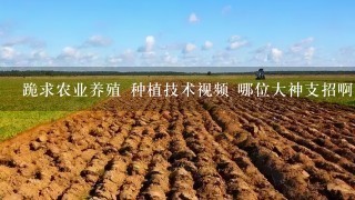 跪求农业养殖 种植技术视频 哪位大神支招啊