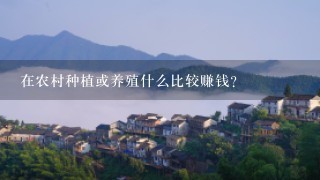 在农村种植或养殖什么比较赚钱？