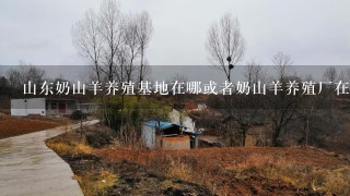 山东奶山羊养殖基地在哪或者奶山羊养殖厂在哪 谢谢