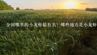 全国哪里的小龙虾最有名？哪些地方是小龙虾大本营？