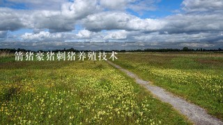 箭猪豪猪刺猪养殖技术