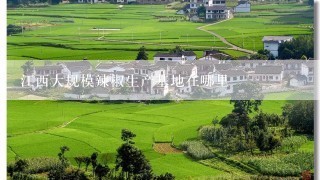 江西大规模辣椒生产基地在哪里