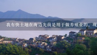 我有快土地在海边先前是用于做养殖业的。现在想转让出去给开发公司做房地产，