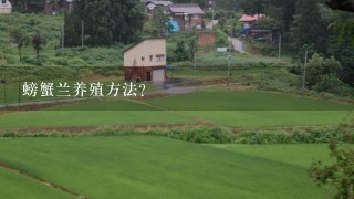 螃蟹兰养殖方法？