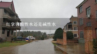 红掌喜酸性水还是碱性水