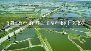 香菇主要产地在哪里 香菇产地在什么地方