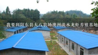 我要到阳东县大八农场澳洲淡水龙虾养殖基地？不知道怎么走？