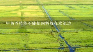 甲鱼养殖能不能把饲料放在水池边、