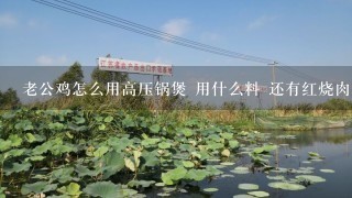 老公鸡怎么用高压锅煲 用什么料 还有红烧肉 炖白菜用的