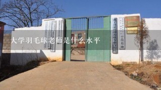 大学羽毛球老师是什么水平