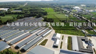 东北哪里有小尾寒羊养殖基地，最好能有具体的位置和养殖场的图片图片