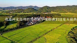 我是河北沧州的像养殖小龙虾我们这夏天最热35度 冬天最冷13度请问能养吗要怎样养