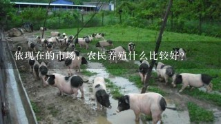 依现在的市场，农民养殖什么比较好？