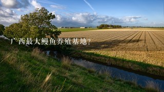 广西最大鳗鱼养殖基地？