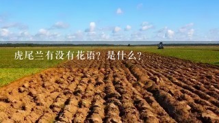 虎尾兰有没有花语？是什么？