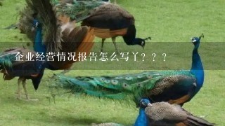 企业经营情况报告怎么写丫？？？