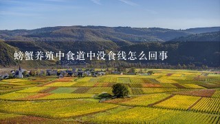 螃蟹养殖中食道中没食线怎么回事