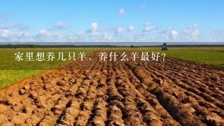 家里想养几只羊，养什么羊最好？