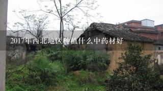 2017年西北地区种植什么中药材好