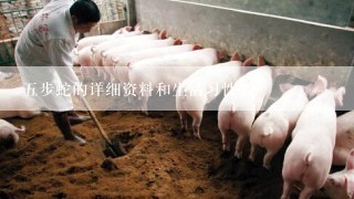 五步蛇的详细资料和生活习性？