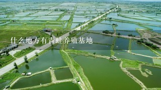 什么地方有青蛙养殖基地