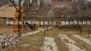 中蜂活框土养不用巢础方法，活框但群如何快速繁殖