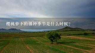 樱桃萝卜的播种季节是什么时候？