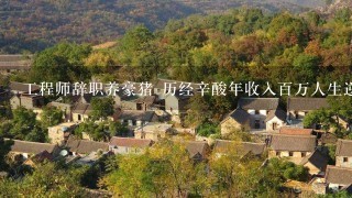 工程师辞职养豪猪 历经辛酸年收入百万人生逆袭