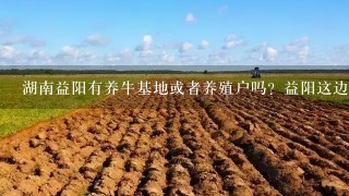 湖南益阳有养牛基地或者养殖户吗？益阳这边适合养什么牛，草料饲料用什么，自己种牧草怎么样？