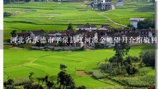 河北省承德市平泉县辽河源金蟾望月介绍资料