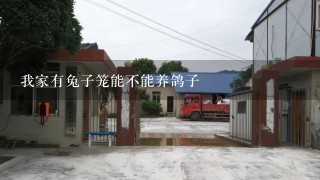 我家有兔子笼能不能养鸽子