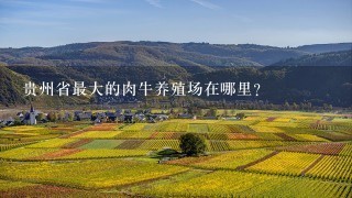 贵州省最大的肉牛养殖场在哪里？