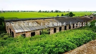 供应土元收购价 土元养殖技术 土元怎么养 土元的作 周口土元养殖 漯河土元养殖 开封土元养