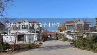 室内怎么样养殖兔子才科学