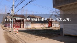 商丘市蝉鸣金蝉养殖有限责任公司怎么样？