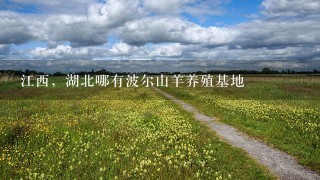 江西，湖北哪有波尔山羊养殖基地