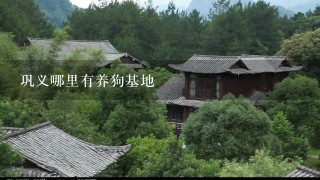 巩义哪里有养狗基地