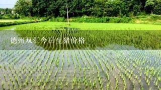 德州双汇今日生猪价格